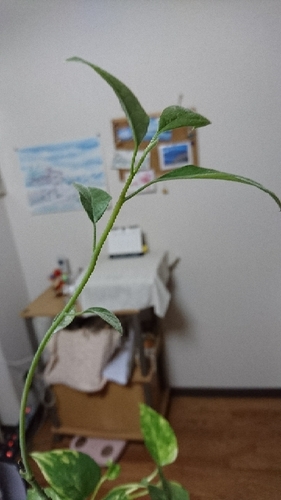 20170728222511623.jpg