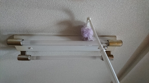 20171001170420615.jpg